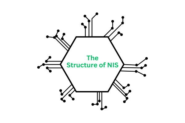 Structure of NIS